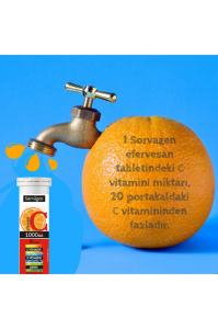 2 Adet C Vitamini 1000 Mg Plus + 2 Adet Sambucus Nigra Plus (4 X 15 Efervesan Tablet)