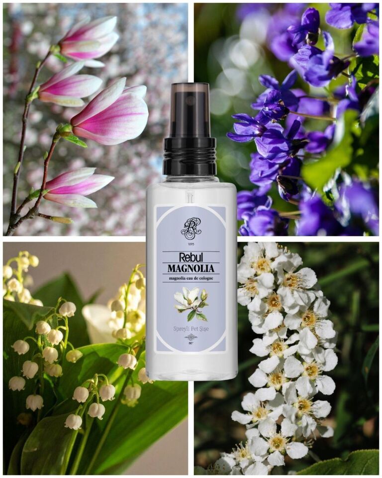 Rebul Magnolıa Kolonya 125 Ml Spreyli Pet Şişe 3 Lü Set