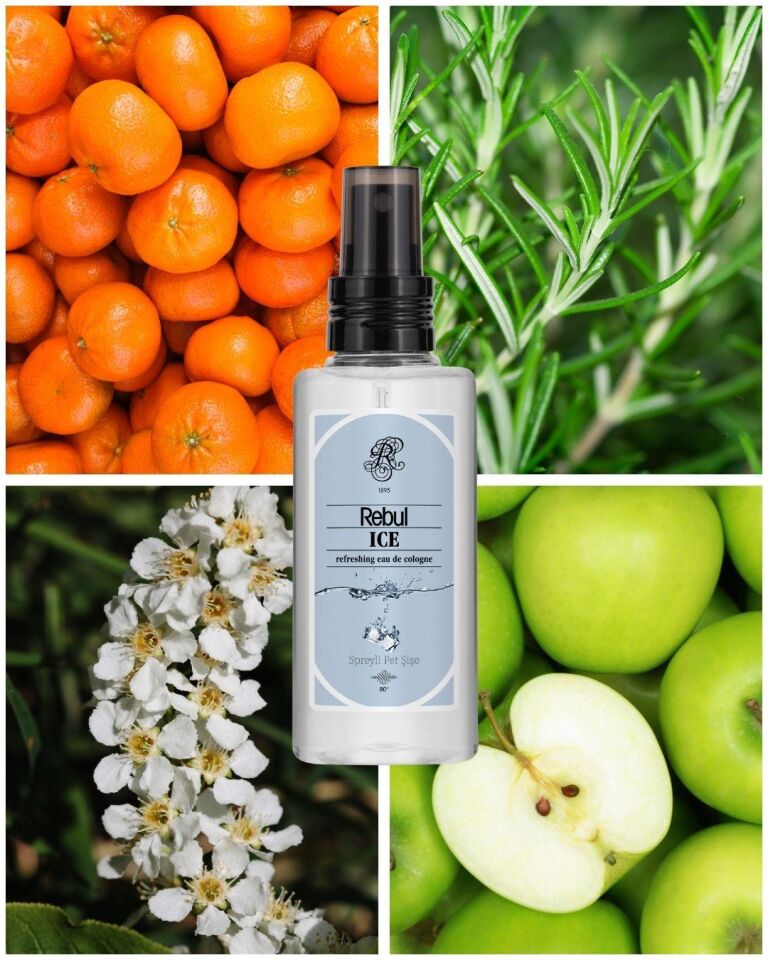Rebul Ice Kolonya 125 Ml Spreyli Pet Şişe 6 Lı Set