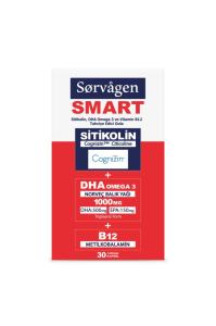 Sorvagen Sitikolin, Dha Omega 3 Norveç Balık Yağı Ve B12 (30 Kapsül)
