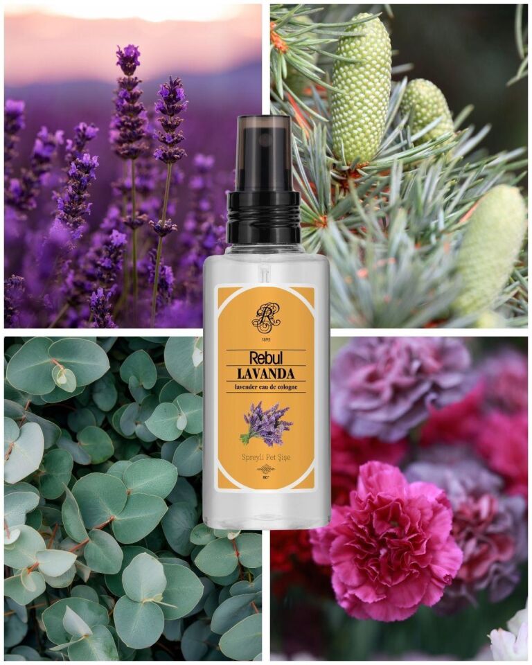 Rebul Lavanta Kolanya 250 Ml + 125 Ml  2 Li Set