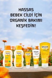 Calendula Organik Saç Ve Vücut Şampuanı 200ml