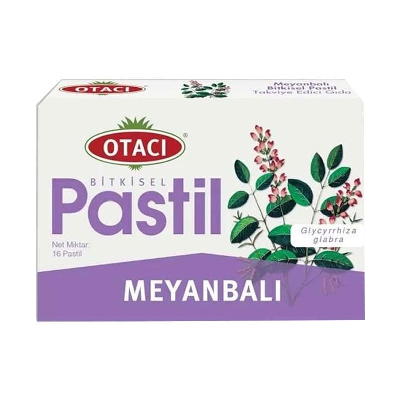 Otacı Meyanbalı Pastil 16 Adet