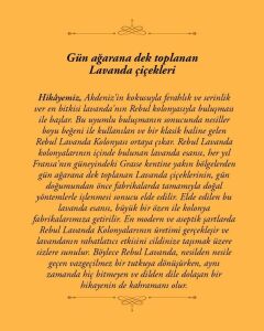 Rebul 250ml Lavanta Kolonya Cam Şişe