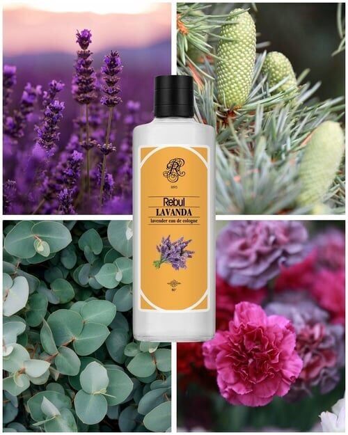 Rebul 250ml Lavanta Kolonya Cam Şişe
