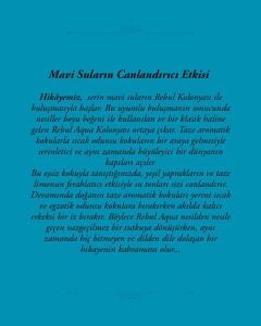 Rebul Aqua Kolonya Sprey 50 ml