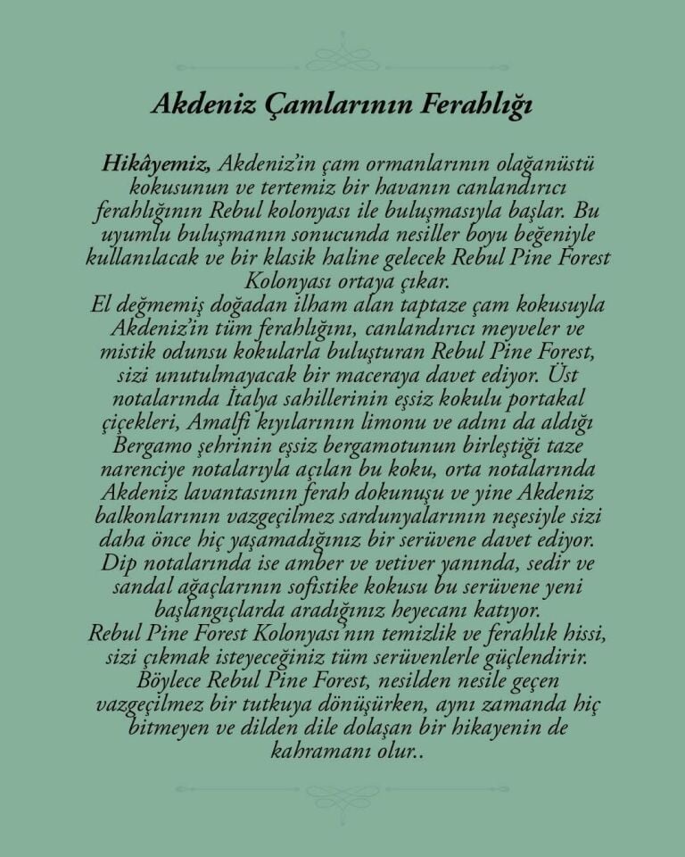 Rebul Pine Forest Edc 50 Ml Kolonya