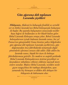 Rebul 125ml Lavanta Spreyli Kolonya Pet