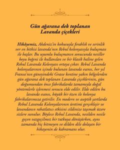 Rebul 125ml Lavanta Spreyli Kolonya Pet