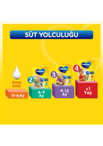 Bebelac 1 Devam Sütü 0 - 6 Ay 800 Gr 2 Li