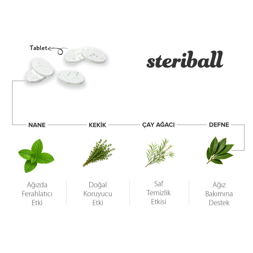Steriball Elektrikli / Pilli Diş Fırçası Koruma Kabı 2'li Şeffaf (2 Paket)